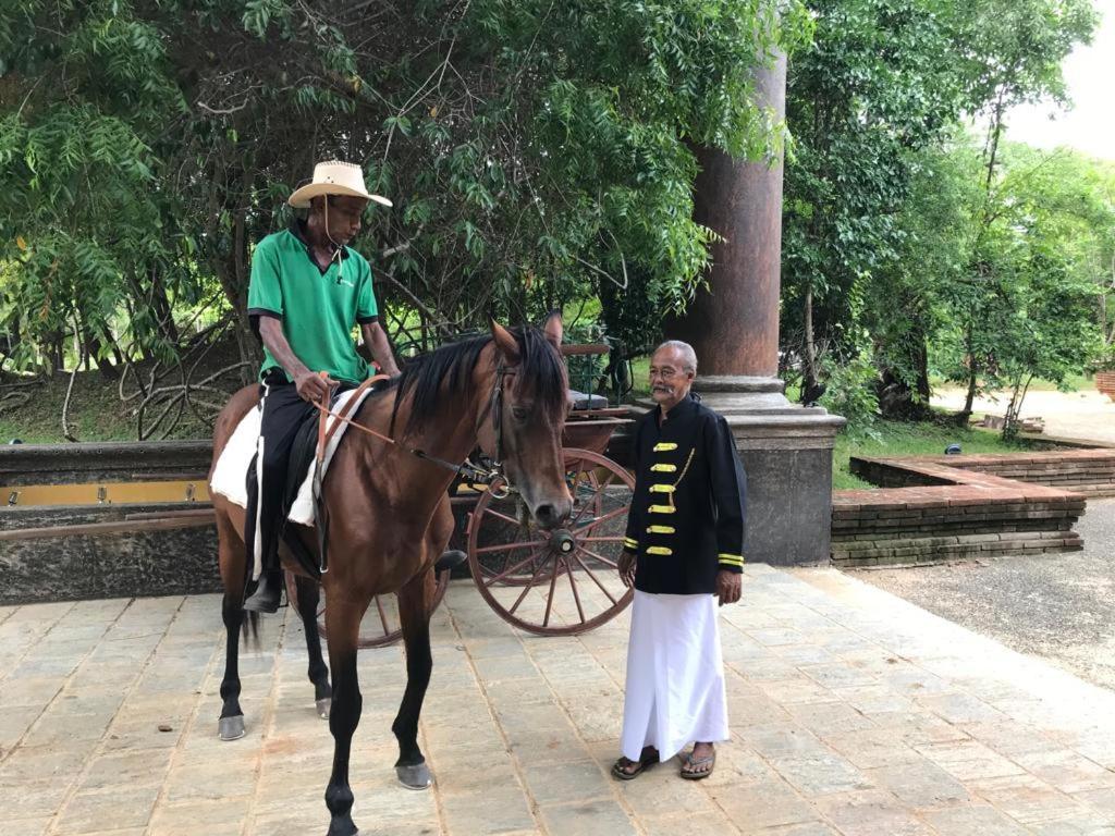 Aswadduma Hotel Dambulla Kültér fotó