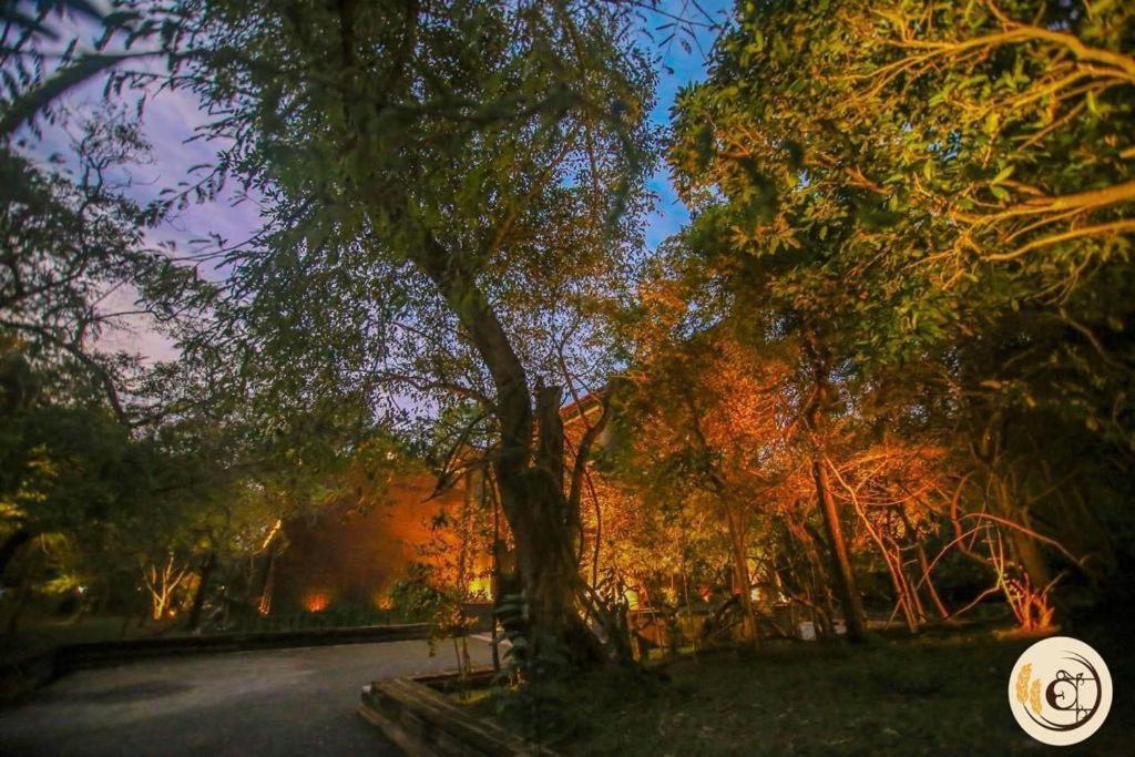 Aswadduma Hotel Dambulla Kültér fotó