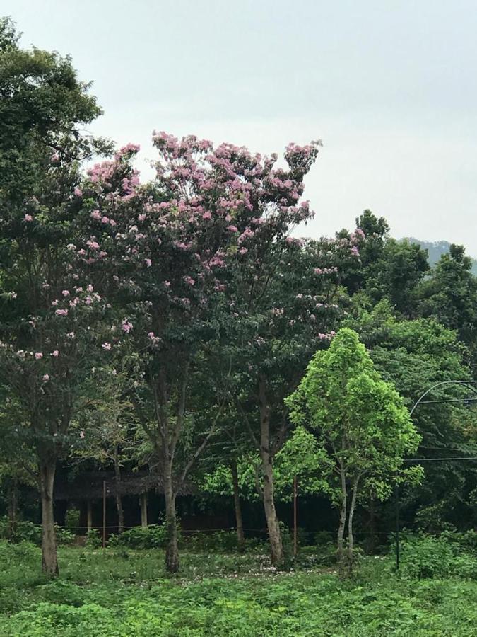 Aswadduma Hotel Dambulla Kültér fotó