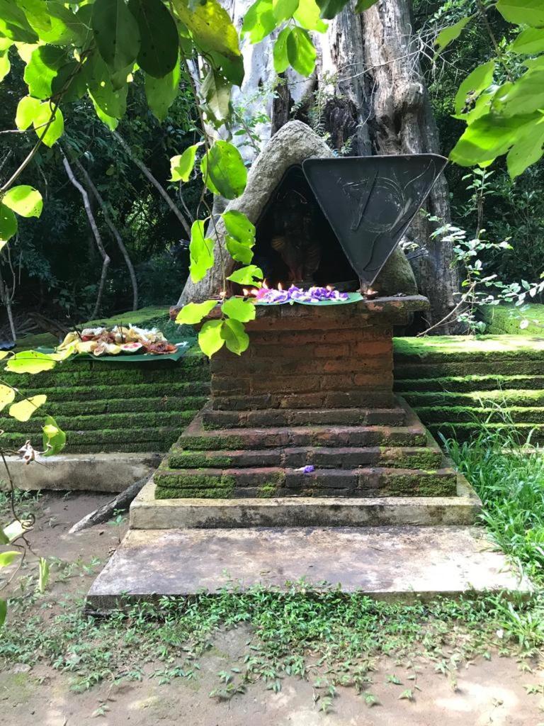 Aswadduma Hotel Dambulla Kültér fotó